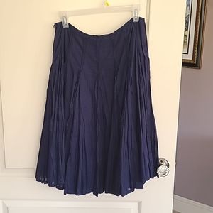 Flirty Navy Anthropology Skirt
